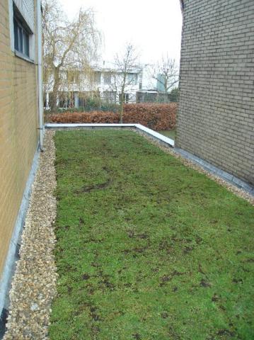 Uitbreiding met sedumdak (beplanting) en herindelen bestaande woning