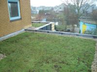 Uitbreiding met sedumdak (beplanting) en herindelen bestaande woning